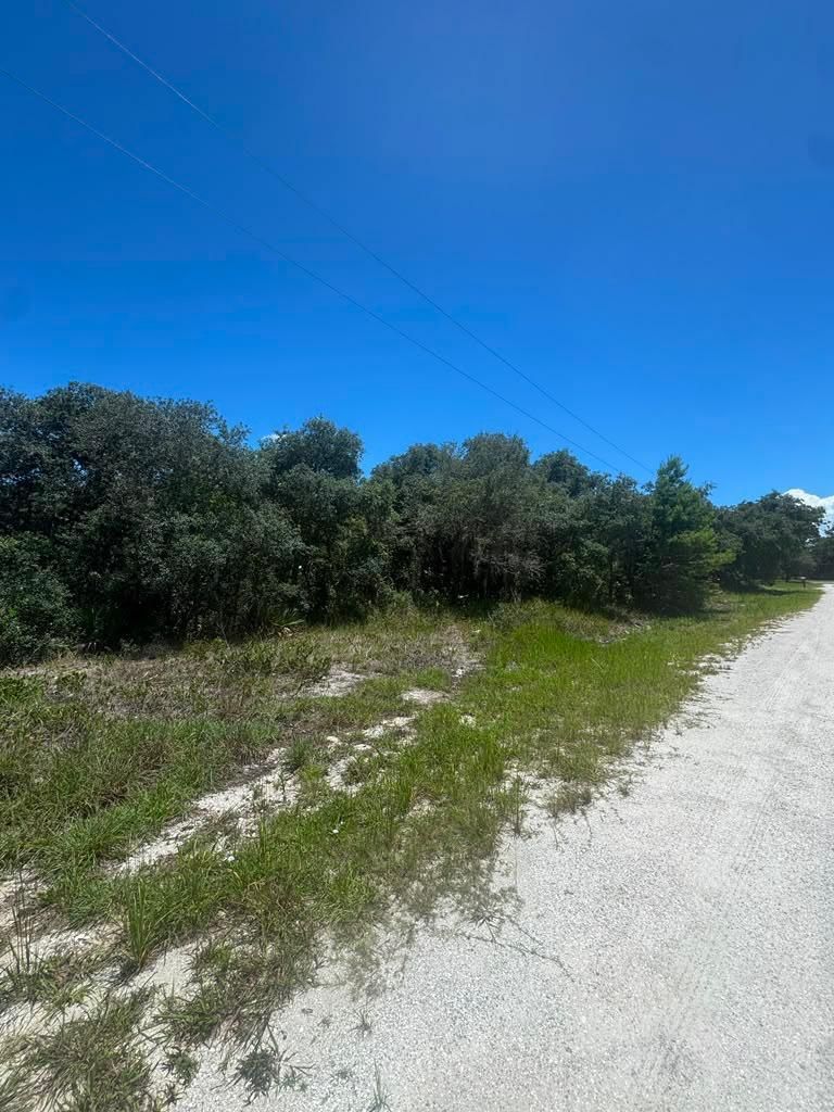 2530 N Todd Road, Avon Park, FL 33825 photo 5
