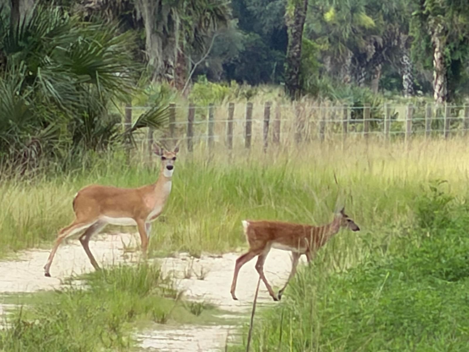 0 Co Rd 832, Clewiston, FL 33440 photo 2