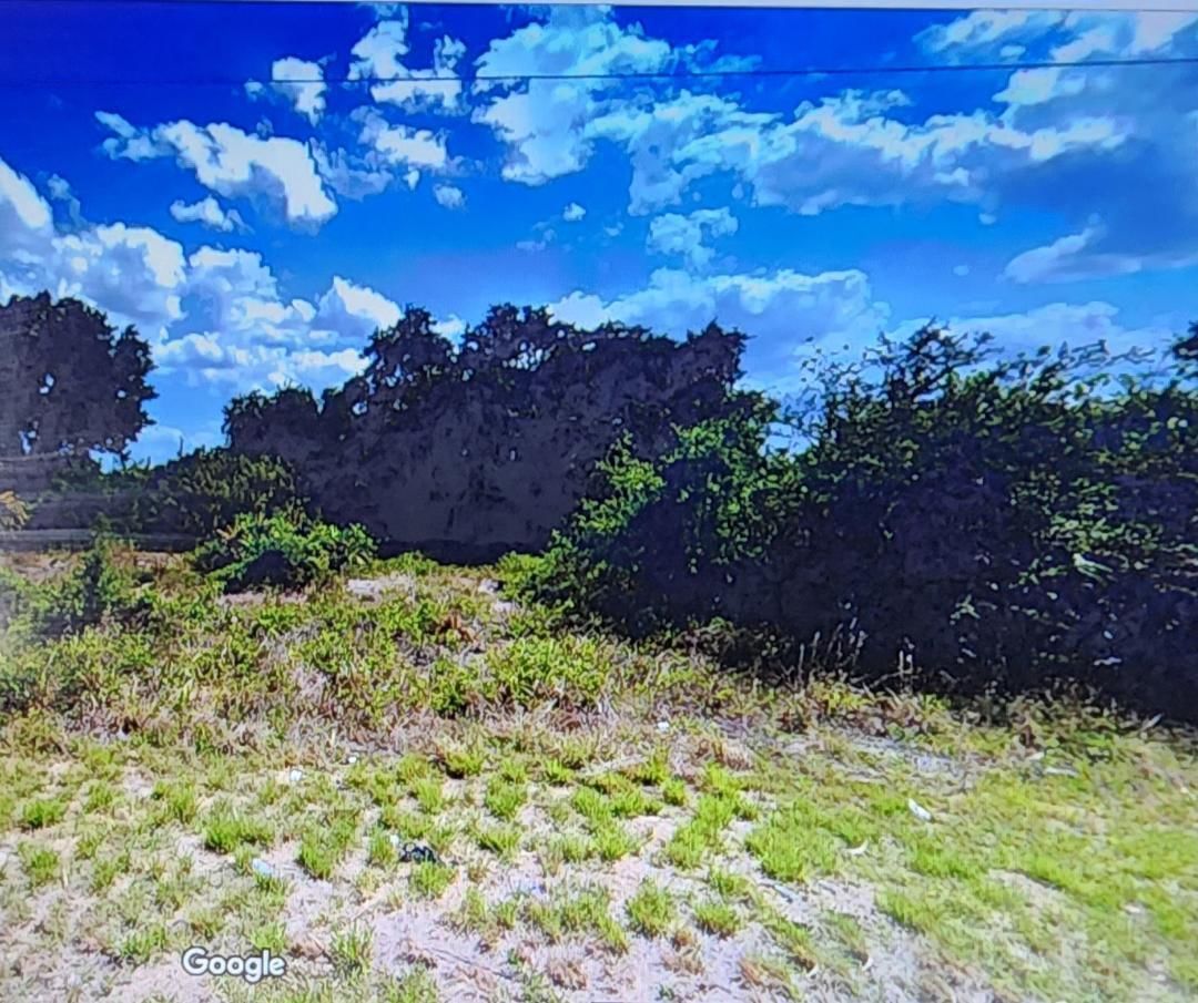 810 E Wolverine Street E, Lehigh Acres, FL 33974 photo 4