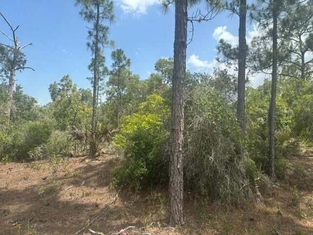 387 Marionette Avenue, Lake Placid, FL 33852 photo 2