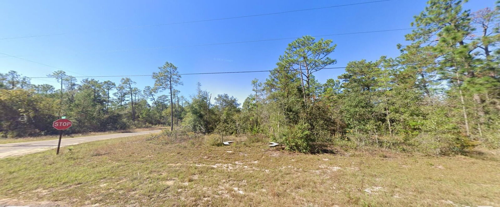 9999 Merrick Drive, Chipley, FL 32428 photo 2