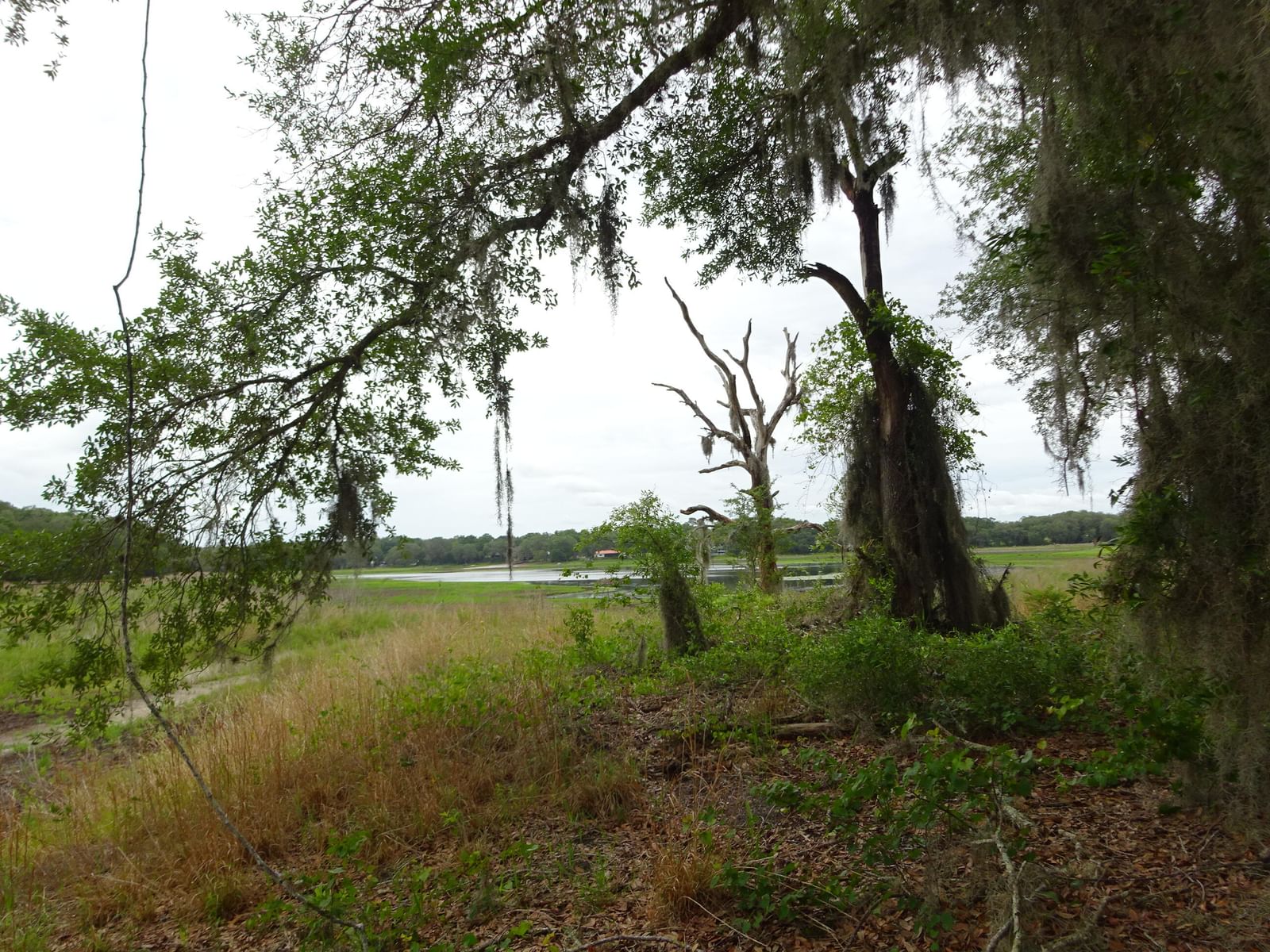 2208 SW Shorewood Drive, Dunnellon, FL 34431 photo 2