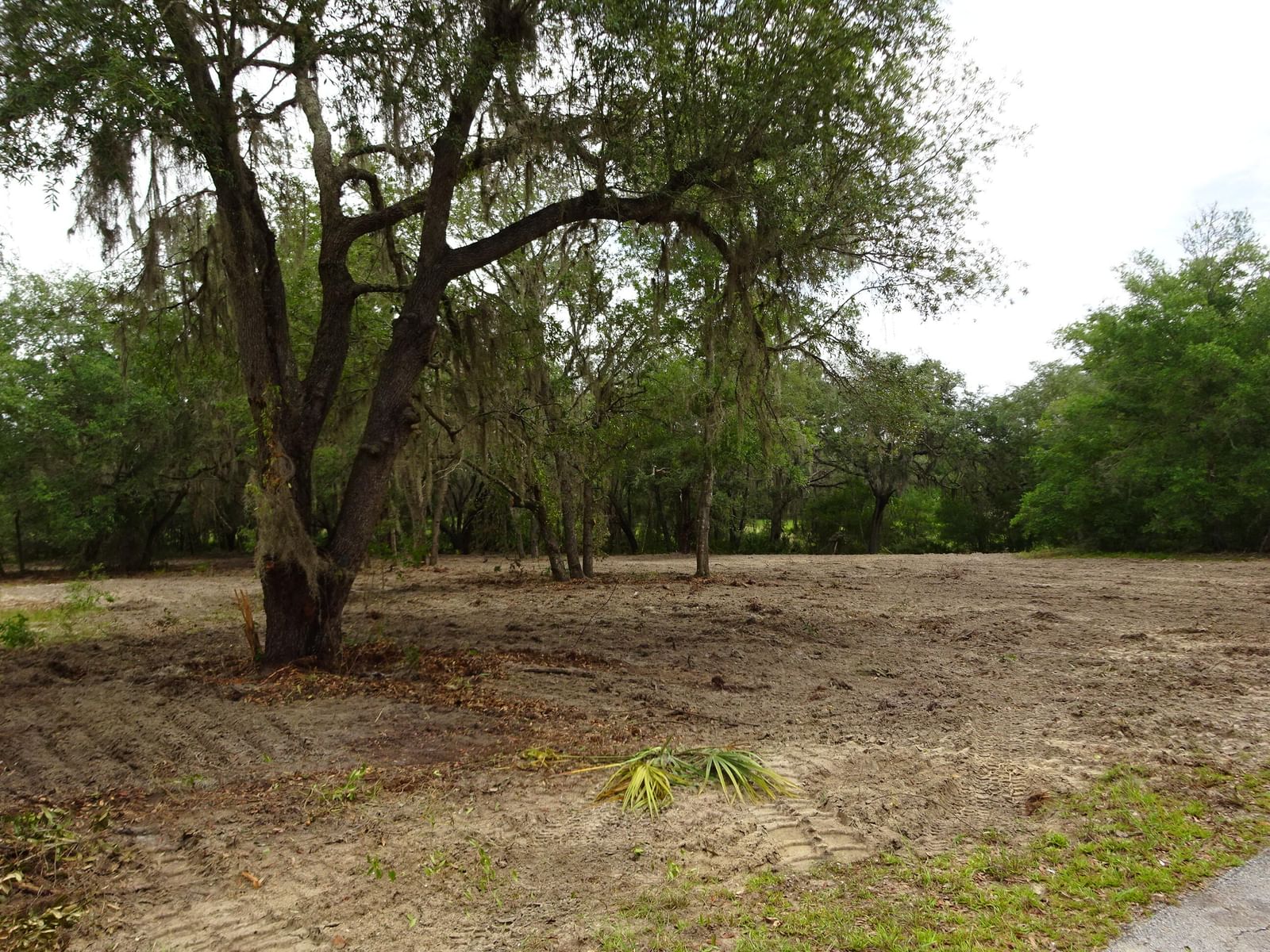 0000 SW Shorewood Drive, Dunnellon, FL photo 2