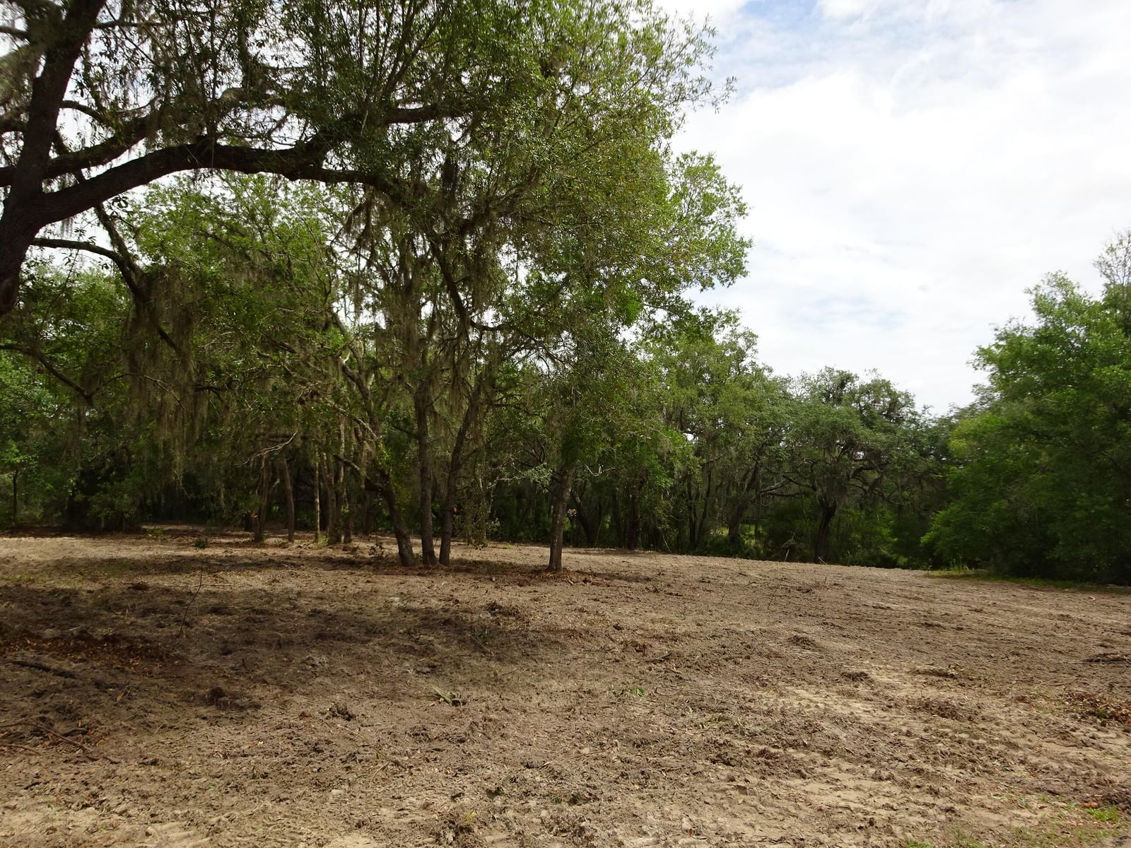0000 SW Shorewood Drive, Dunnellon, FL photo 3
