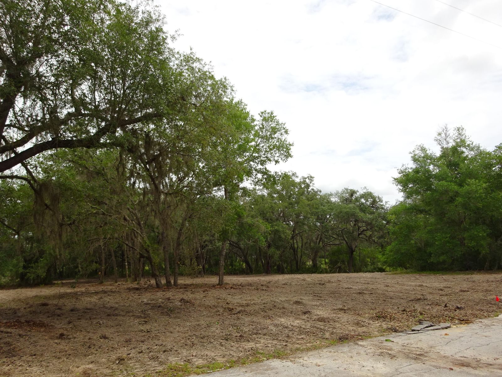 Lots 449,450,45 SW Shorewood Drive SW, Dunnellon, FL 34431 photo 2