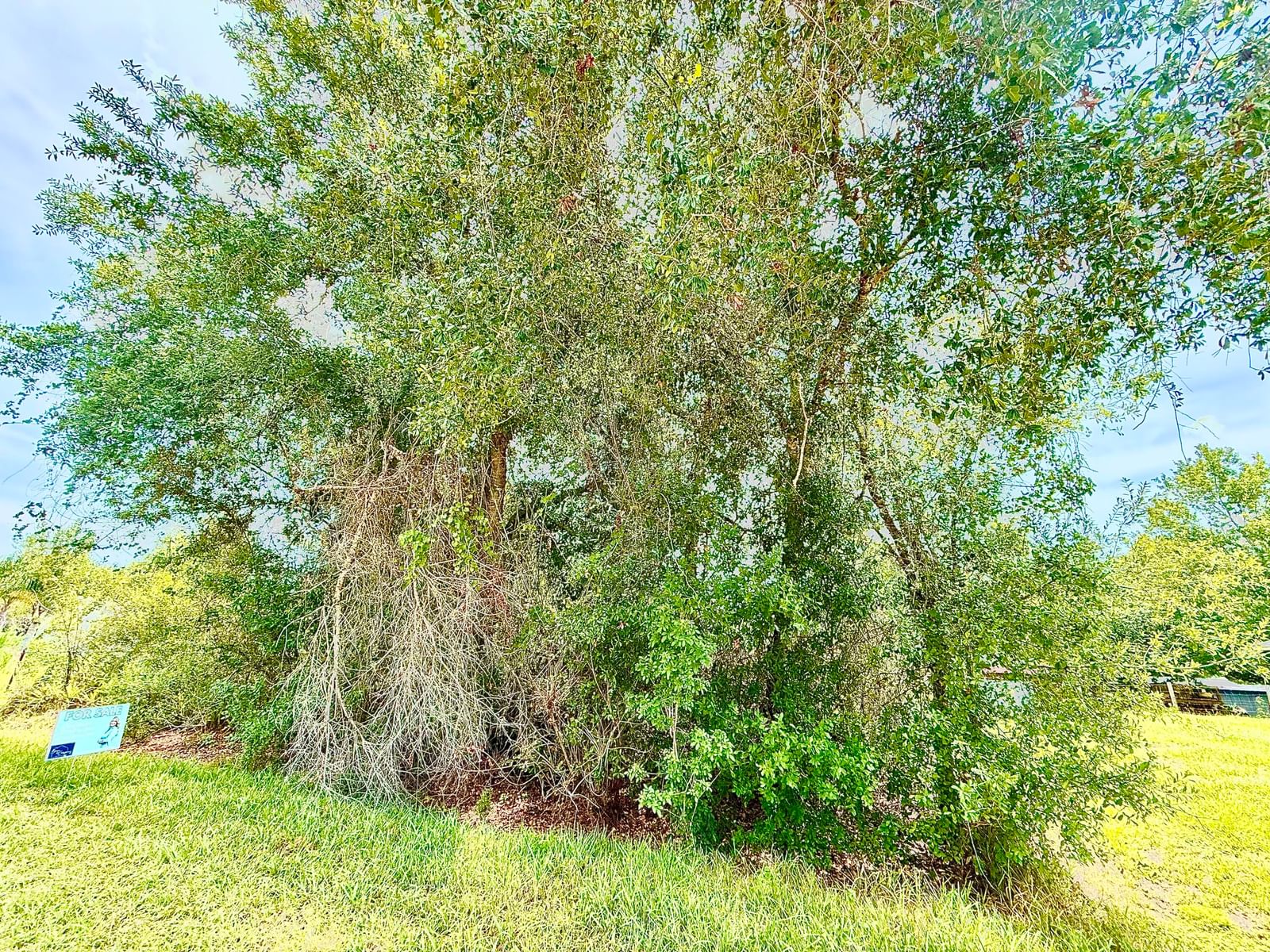 10530 NE 2nd Terrace, Okeechobee, FL 34972 photo 2