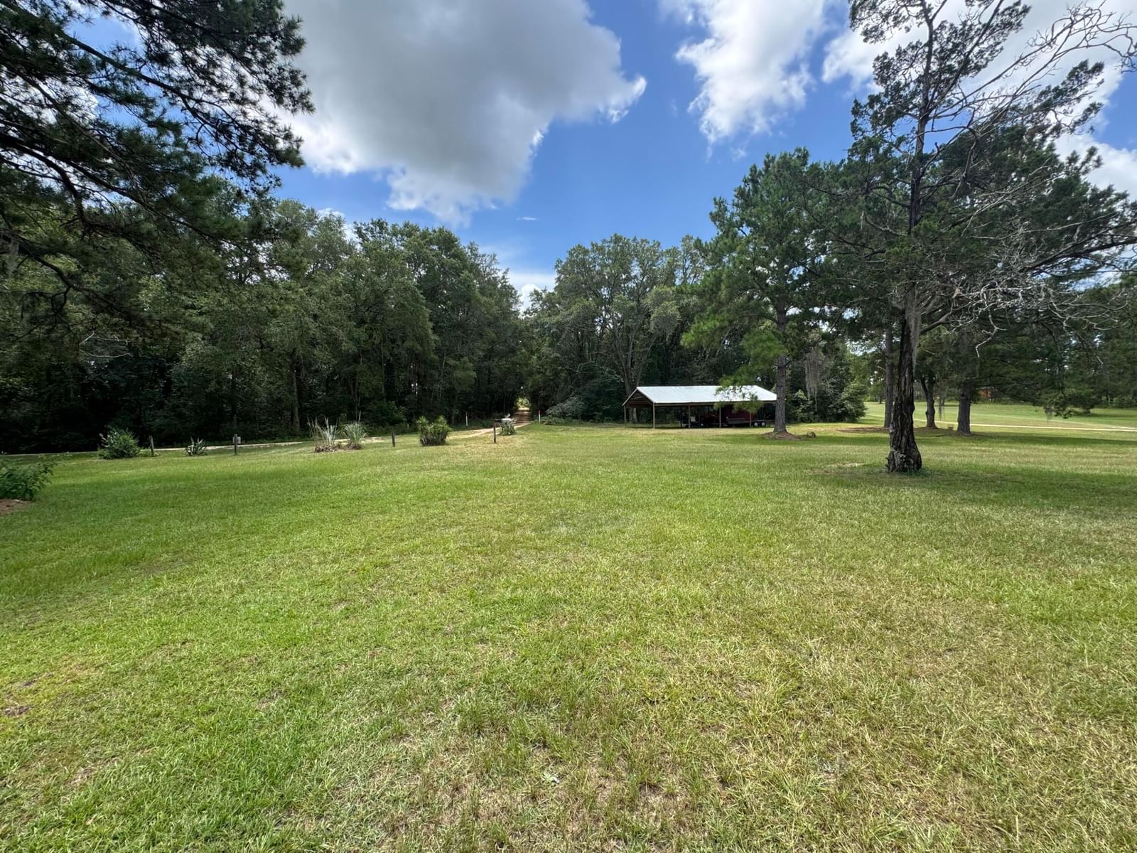 1900 Olive Lane, Bonifay, FL 32425 photo 4