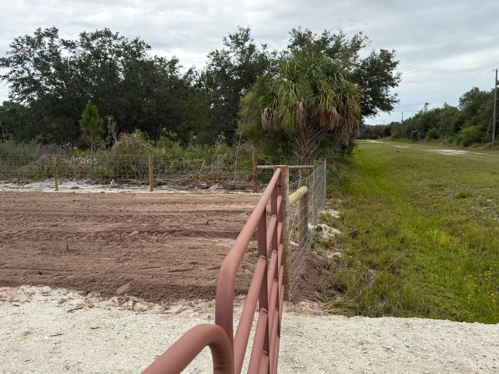 14667 NW 310th Street, Okeechobee, FL 34972 photo 3