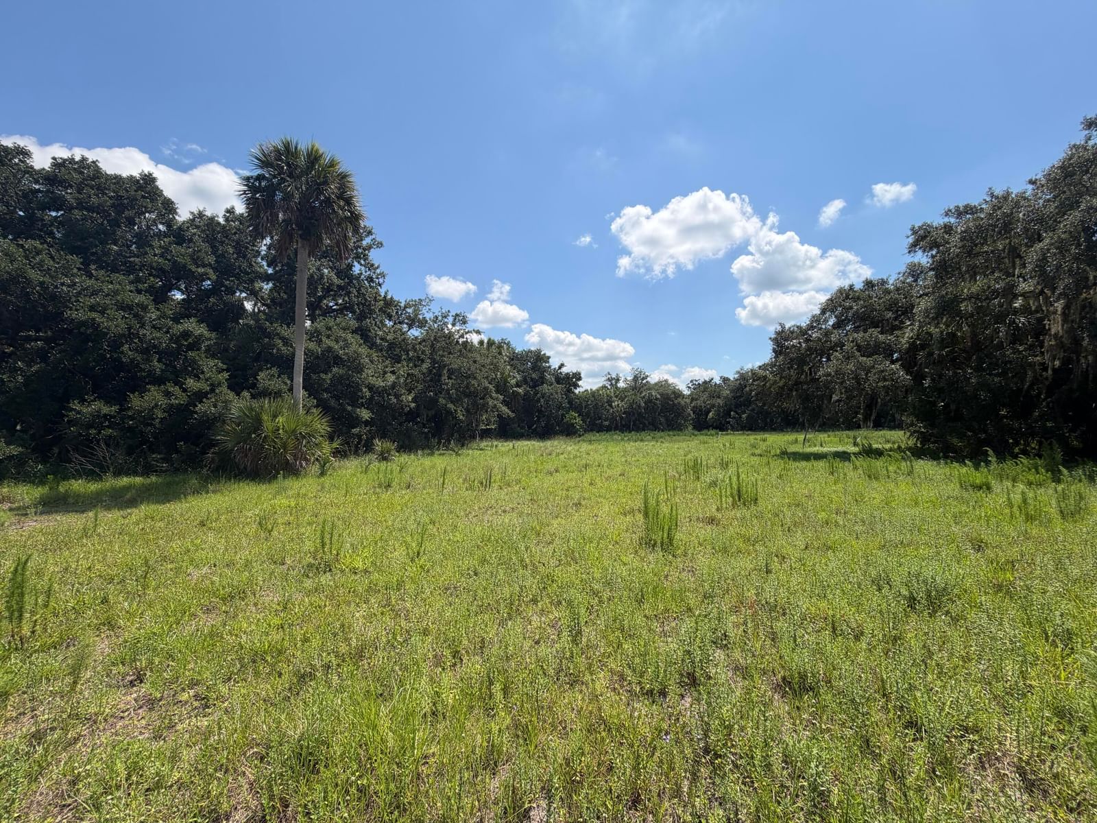 16477 NW 192nd Street, Okeechobee, FL 34972 photo 4