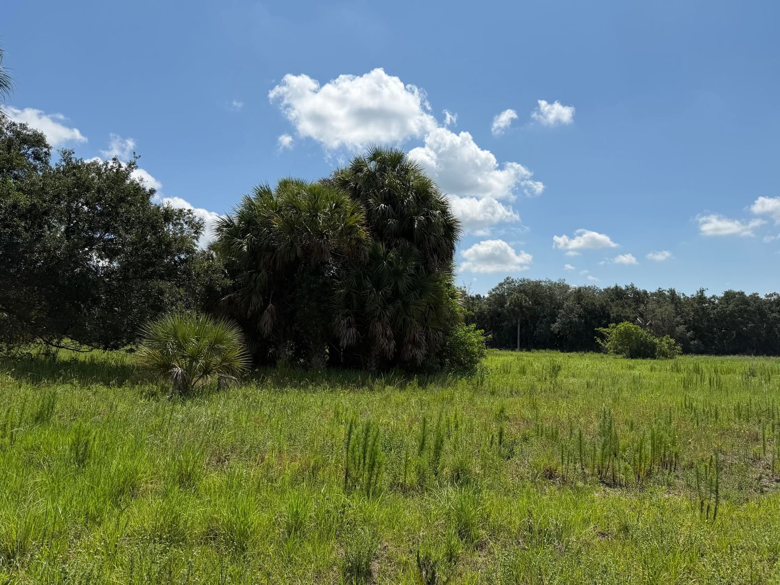 16477 NW 192nd Street, Okeechobee, FL 34972 photo 5