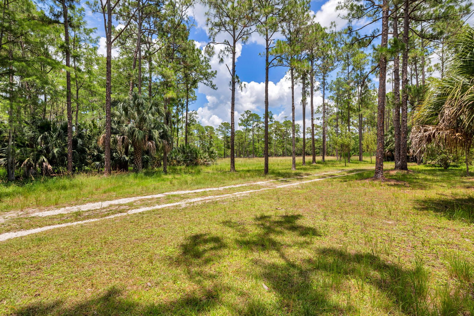 00000 Caloosa Boulevard, West Palm Beach, FL 33418 photo 4