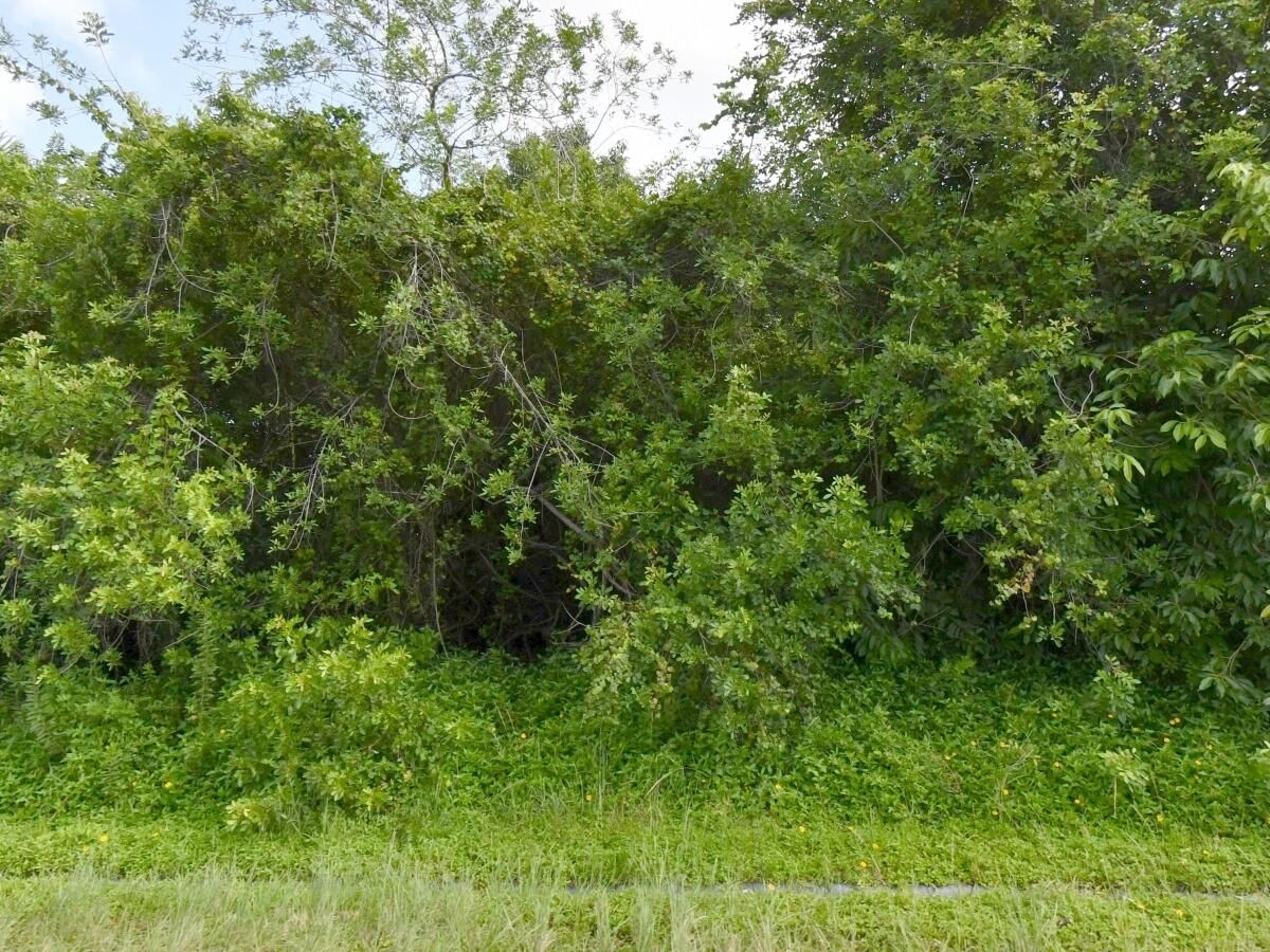 1081 SW Dartmouth Avenue SW, Port St Lucie, FL 34953 photo 2