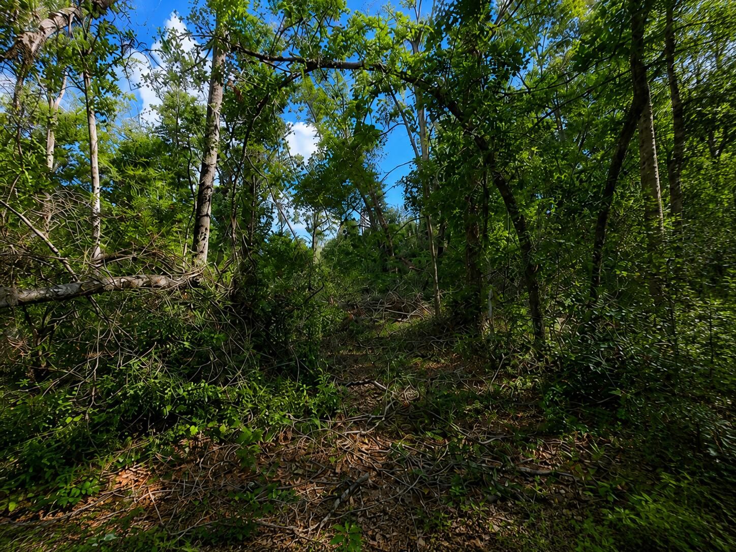 6600 150th Place, Wellborn, FL 32094 photo 4
