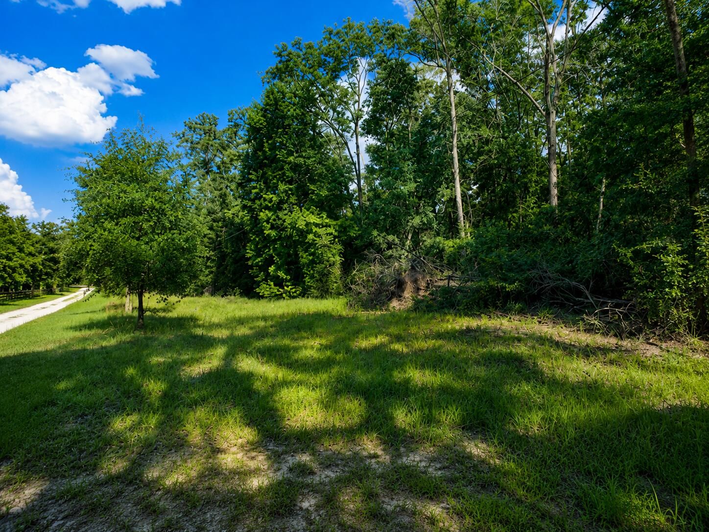 6600 150th Place, Wellborn, FL 32094 photo 5