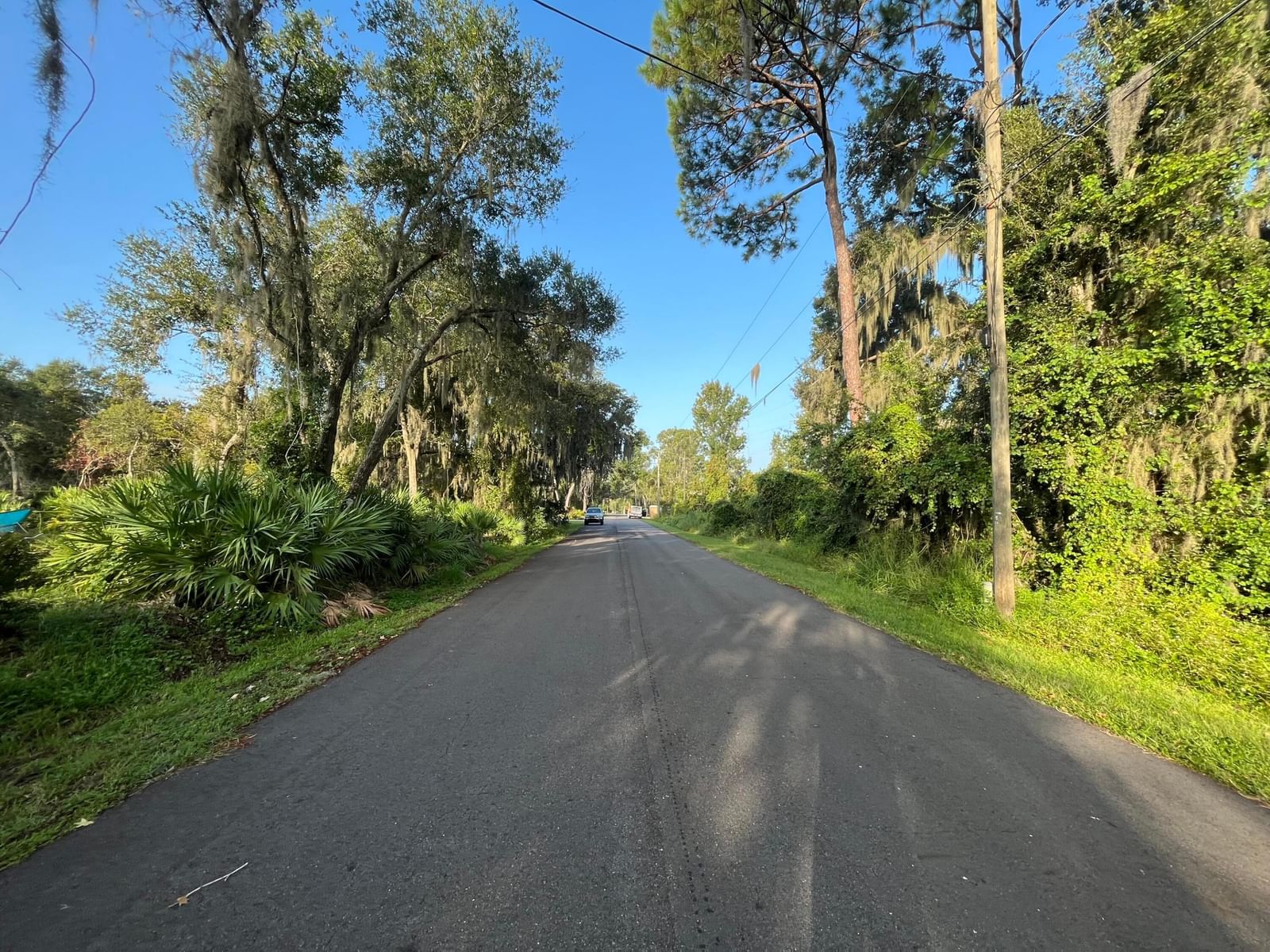 262 Toms Road, Debary, FL 32713 photo 4