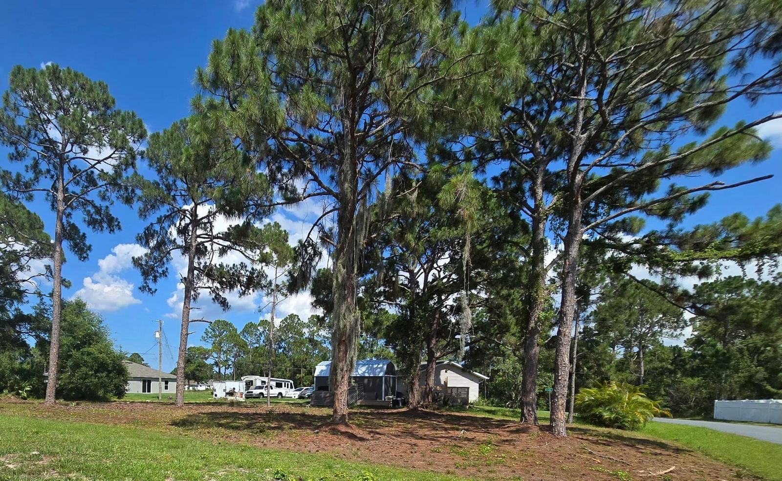 1979 Thomasville Avenue SE, Palm Bay, FL 32909 photo 3