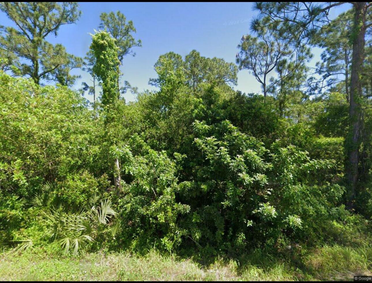 111 Suwannee Lane, Lake Placid, FL 33852 photo 2