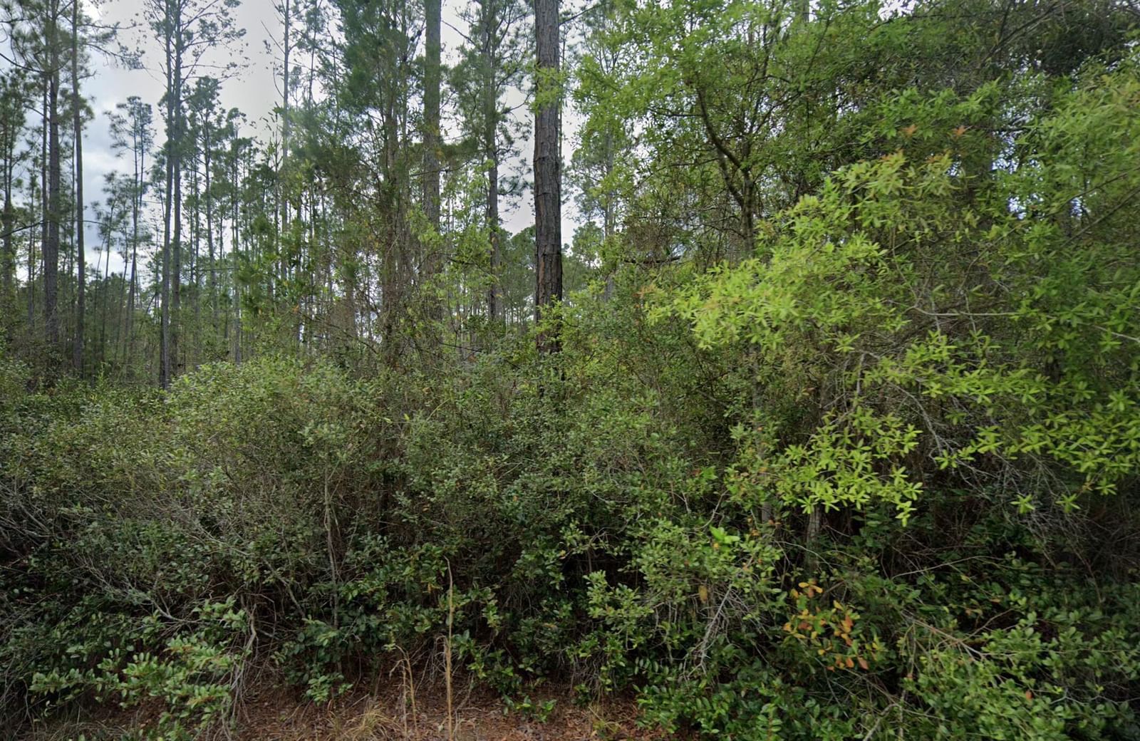105 Glenside Street, Georgetown, FL 32139 photo 2
