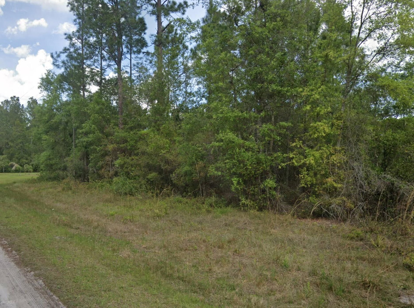 103 Glenside Street, Georgetown, FL 32139 photo 2