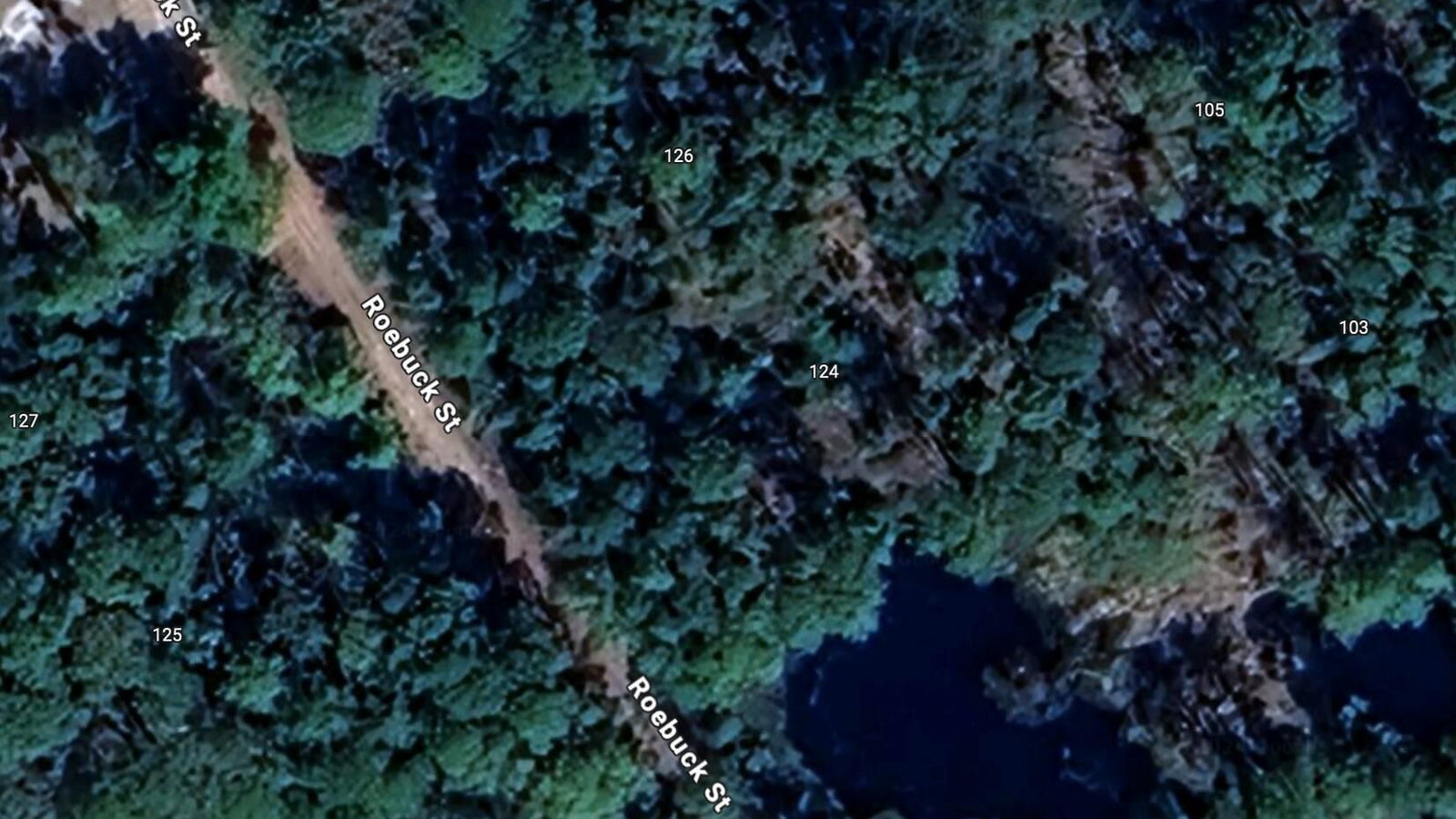 124 Roebuck Street, Georgetown, FL 32139 photo 3