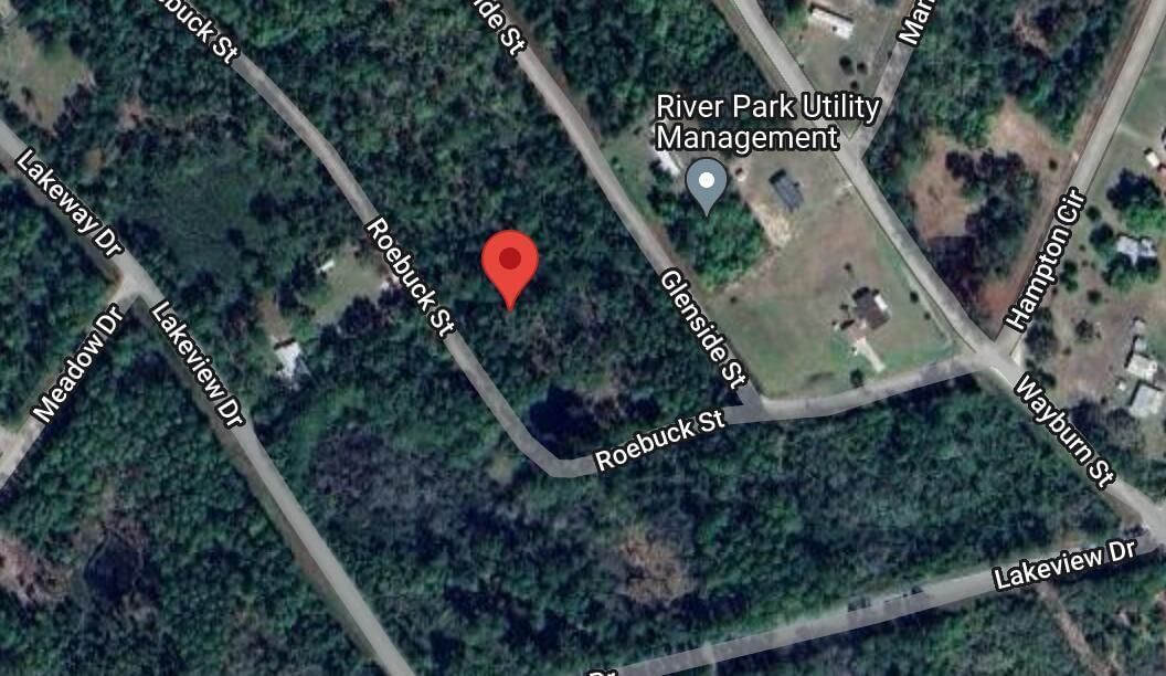 126 Roebuck Street, Georgetown, FL 32139 photo 2