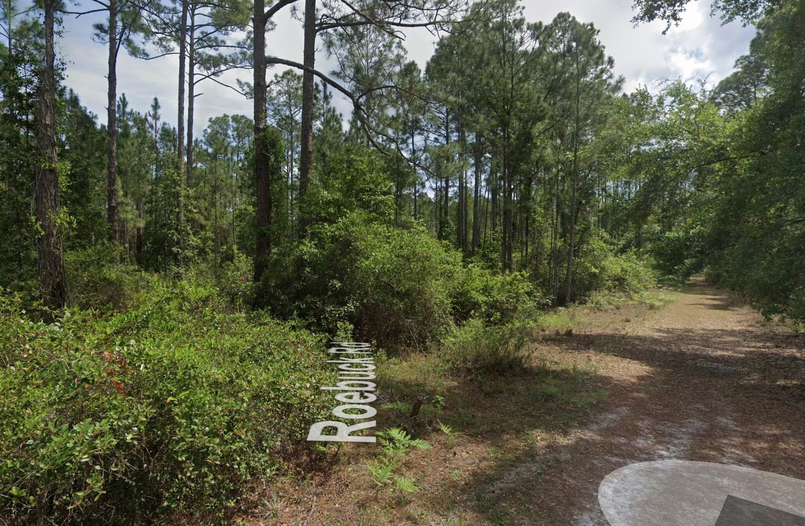 126 Roebuck Street, Georgetown, FL 32139 photo 4