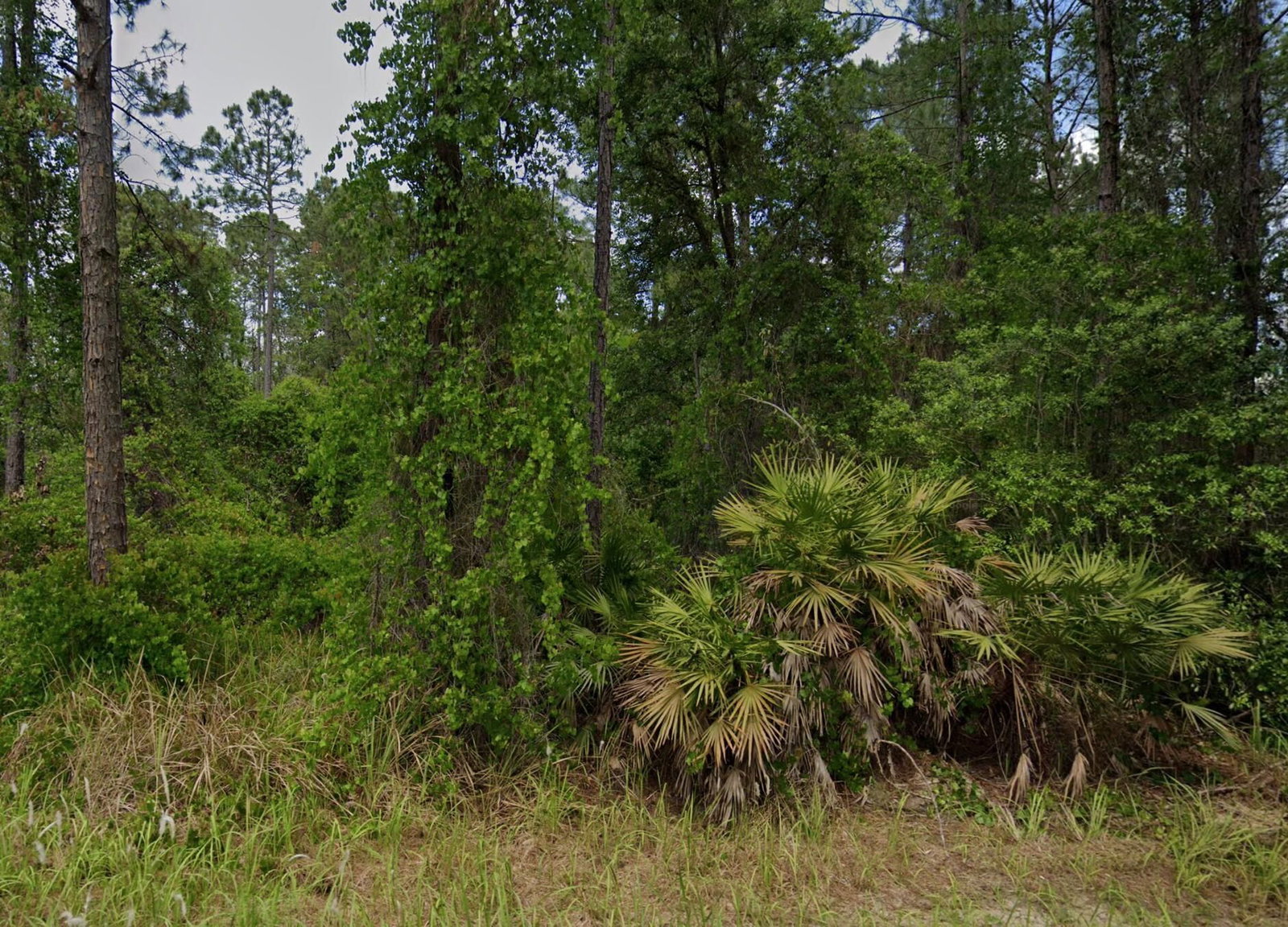 138 Pine Tree Drive, Palatka, FL 32177 photo 3