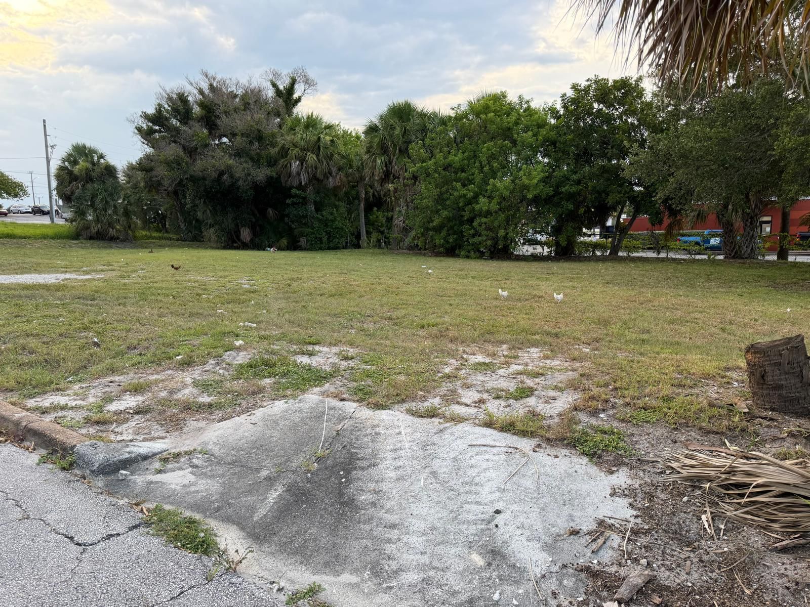 408 Avenue E, Fort Pierce, FL 34950 photo 4
