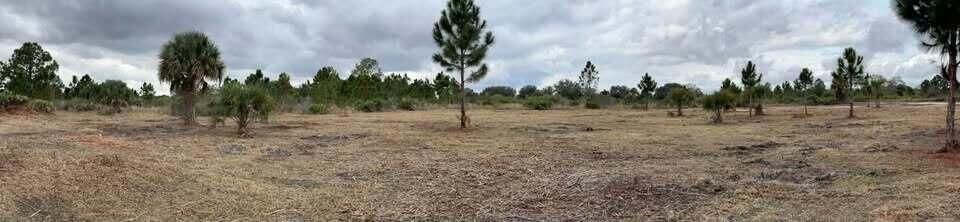18134 NW 298th Street, Okeechobee, FL 34972 photo 2