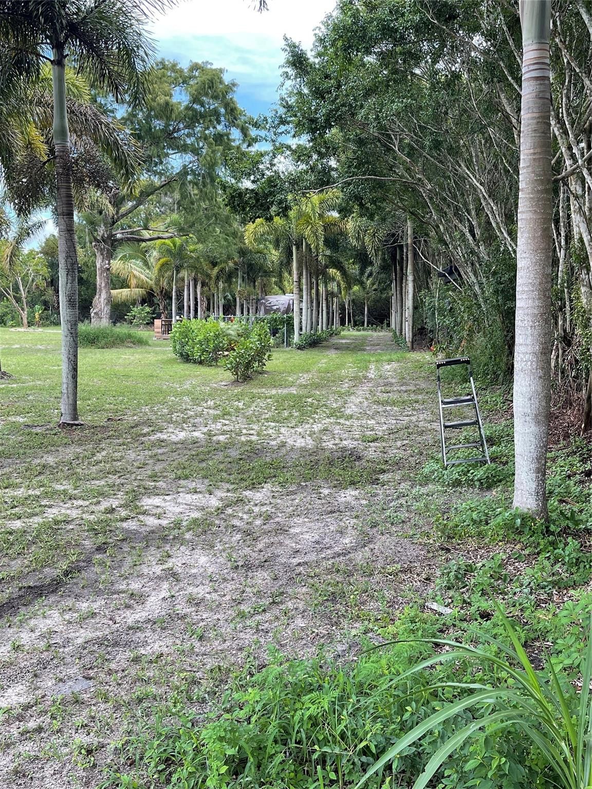 15600 SW Conners Highway, Okeechobee, FL 34974 photo 3