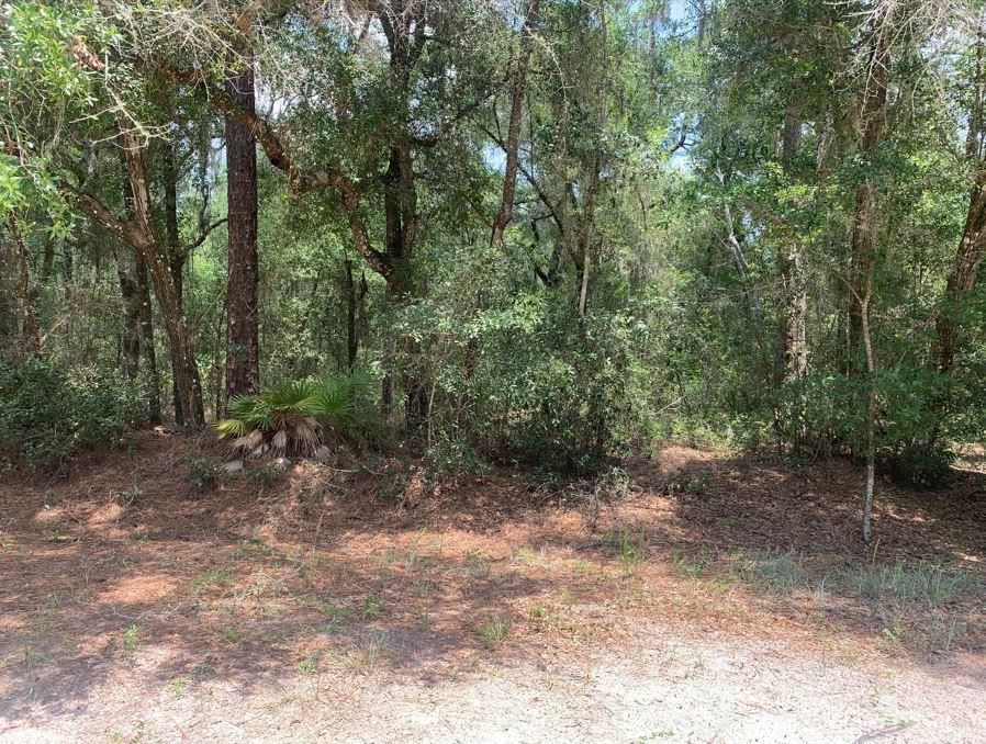 112 New Jersey Street, Satsuma, FL 32189 photo 2