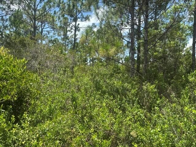 0 Holopaw Groves Road, St Cloud, FL 34772 photo 2