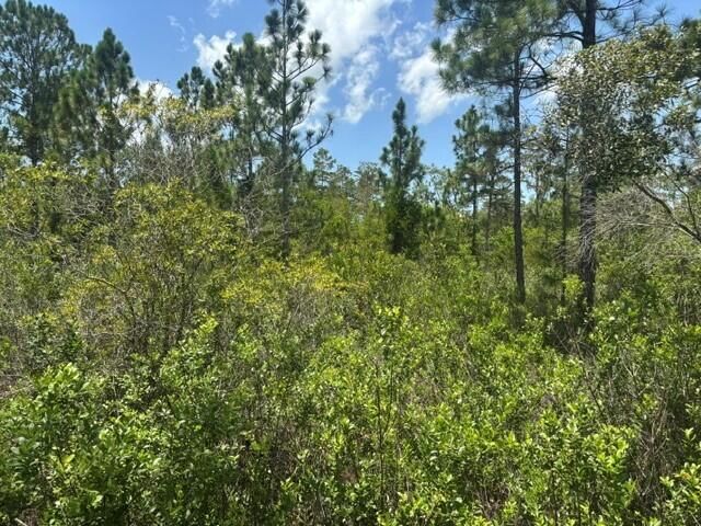 0 Holopaw Groves Road, St Cloud, FL 34772 photo 2