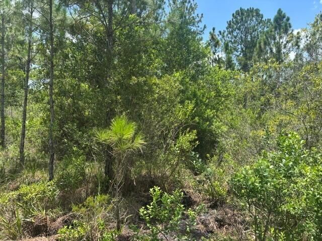 0 Holopaw Groves Road, St Cloud, FL 34772 photo 3