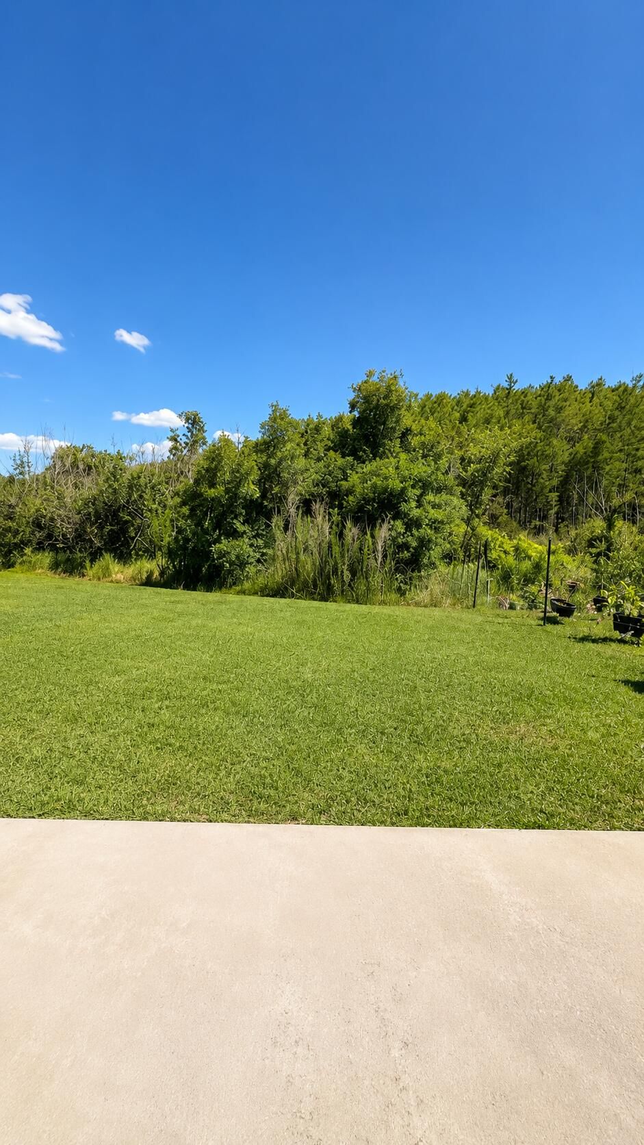 1448 Derby Glen Drive, Orlando, FL 32837 photo 4