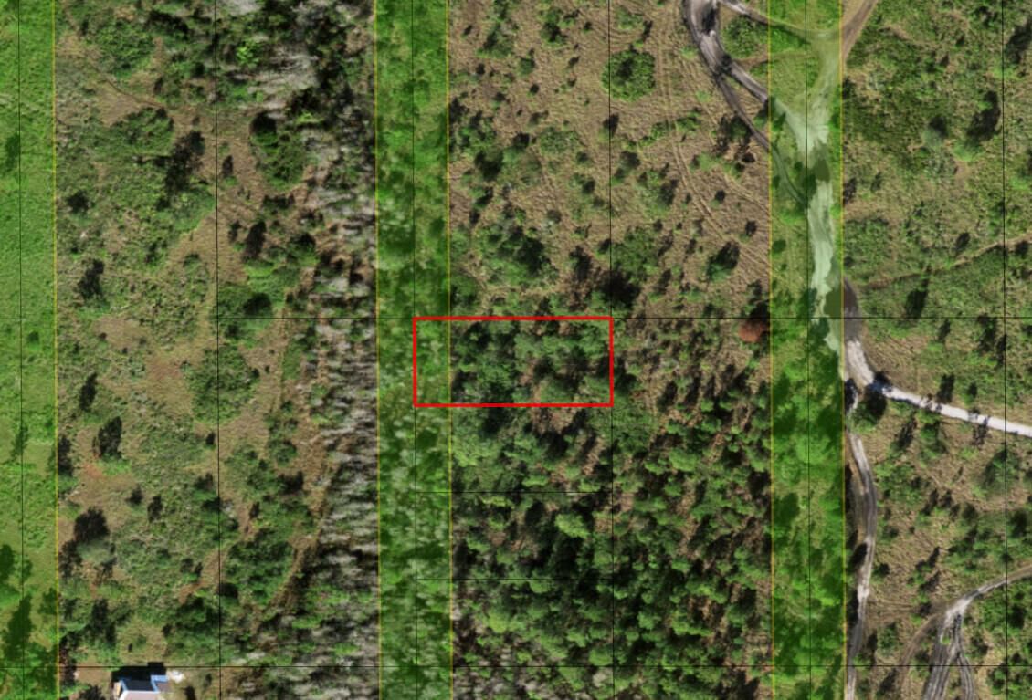 0 Holopaw Groves Road, St Cloud, FL 34772