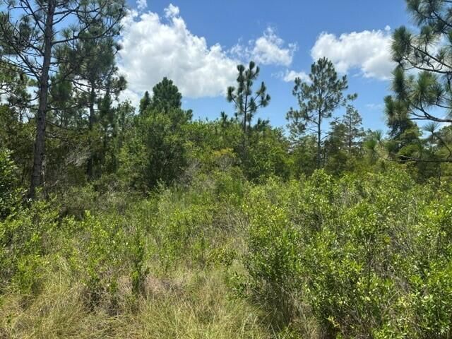 0 Holopaw Groves Road, St Cloud, FL 34772 photo 2