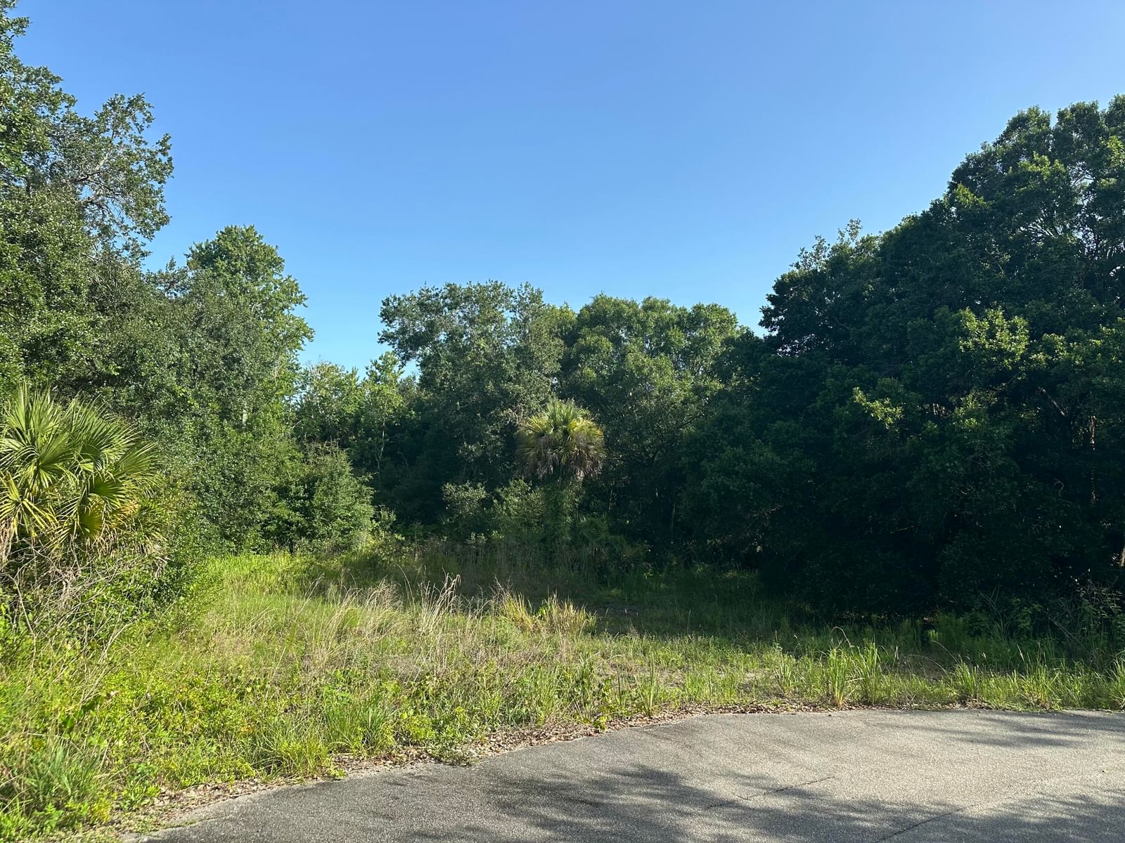 623 NE 138TH Street, Okeechobee, FL 34972 photo 2