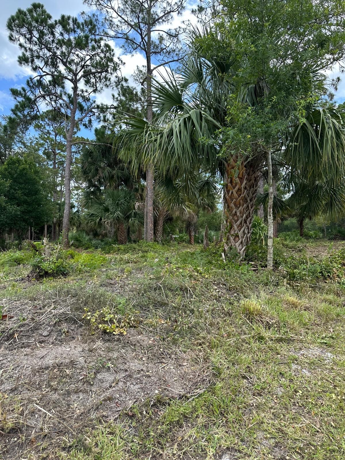 10620 91st Street, Vero Beach, FL 32967 photo 2
