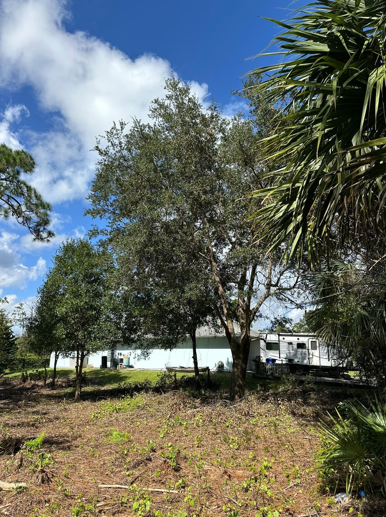 9125 106TH Avenue, Vero Beach, FL 32967 photo 3