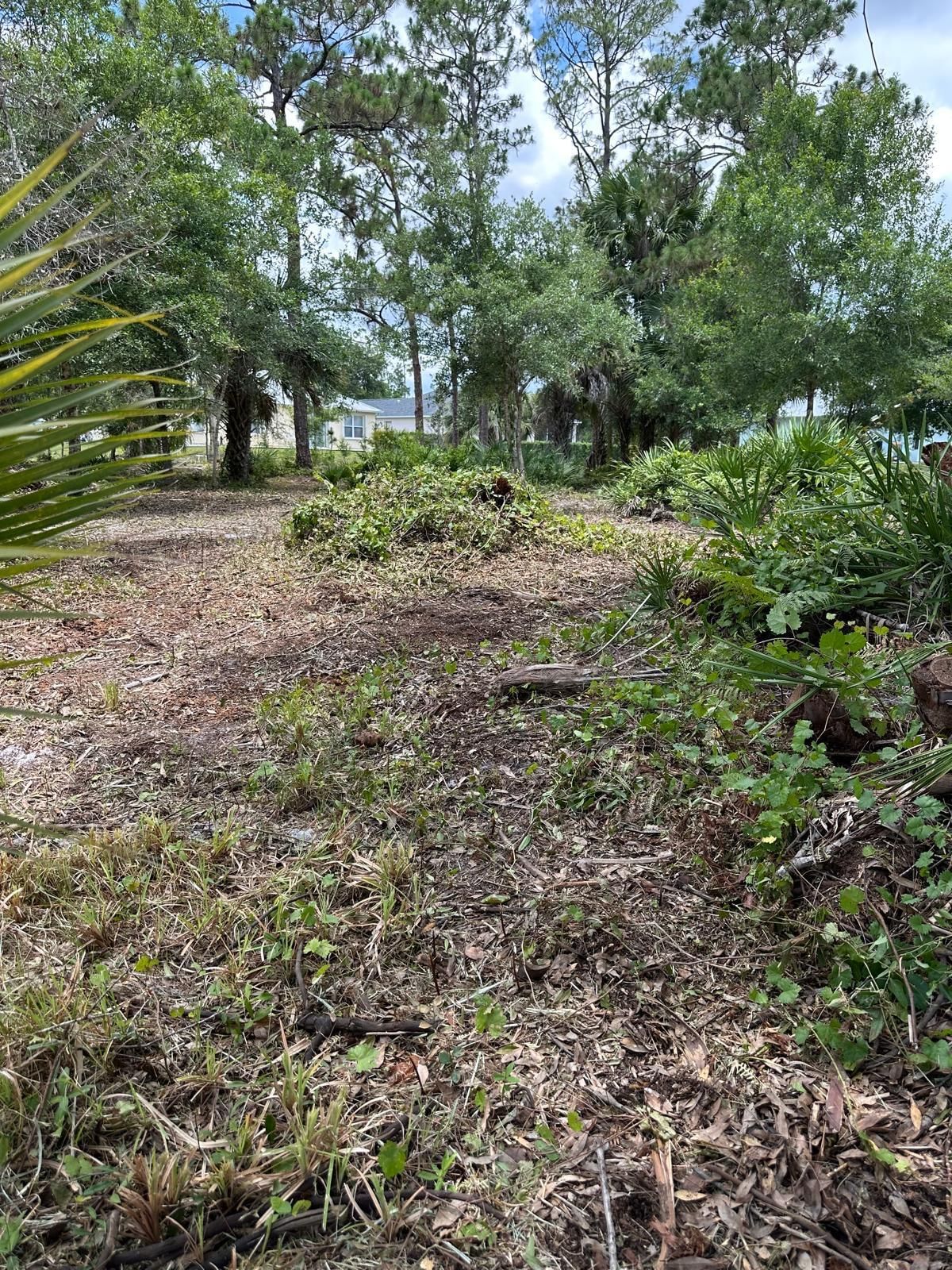 9125 106TH Avenue, Vero Beach, FL 32967 photo 5