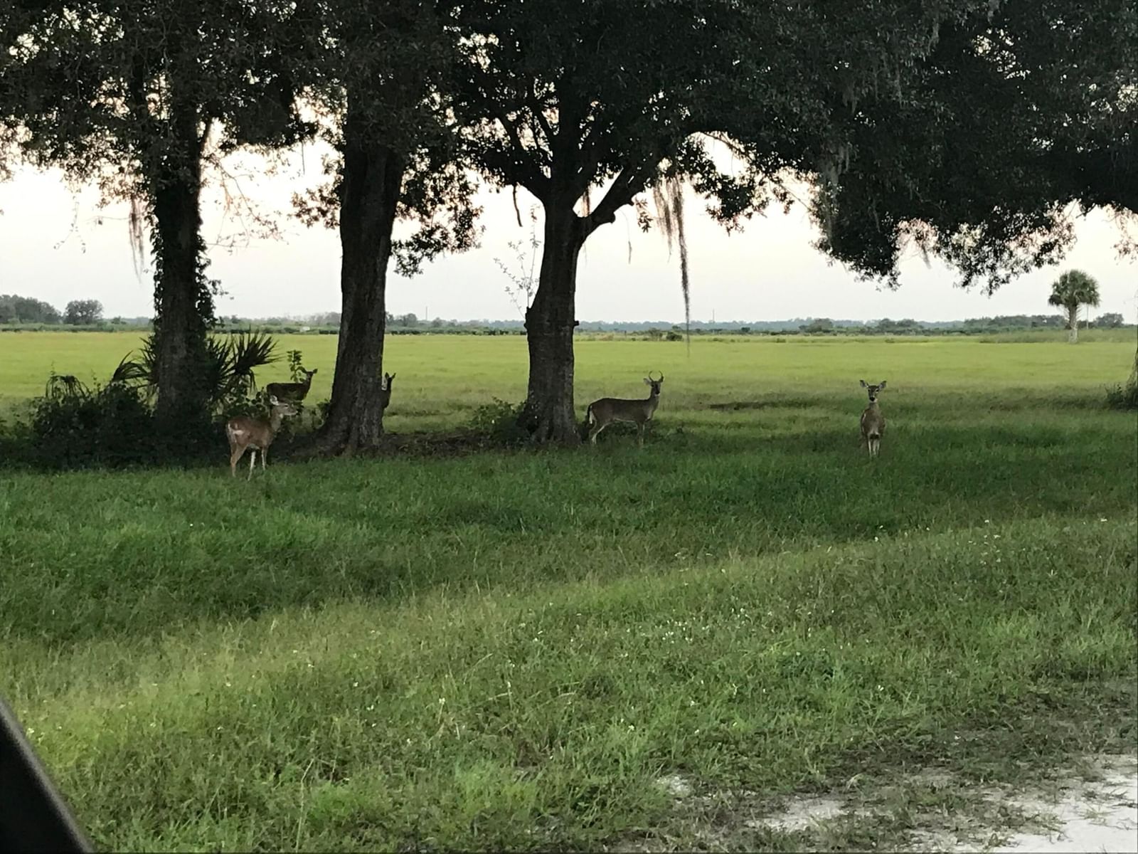 32801 US Hwy 441 N, Okeechobee, FL 34972 photo 3