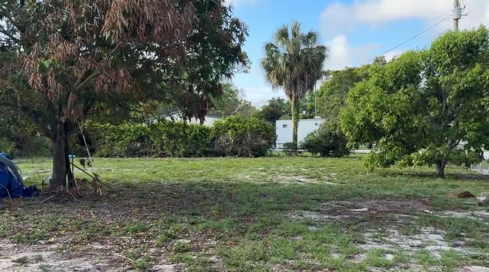 718 Fergusson Lane, West Palm Beach, FL 33415 photo 3
