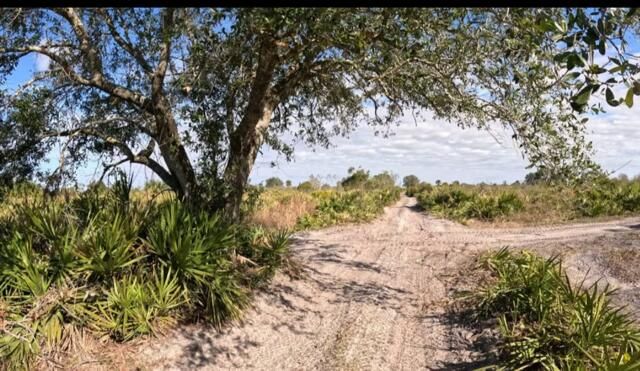 0 NW 318th Street, Okeechobee, FL 34972 photo 2