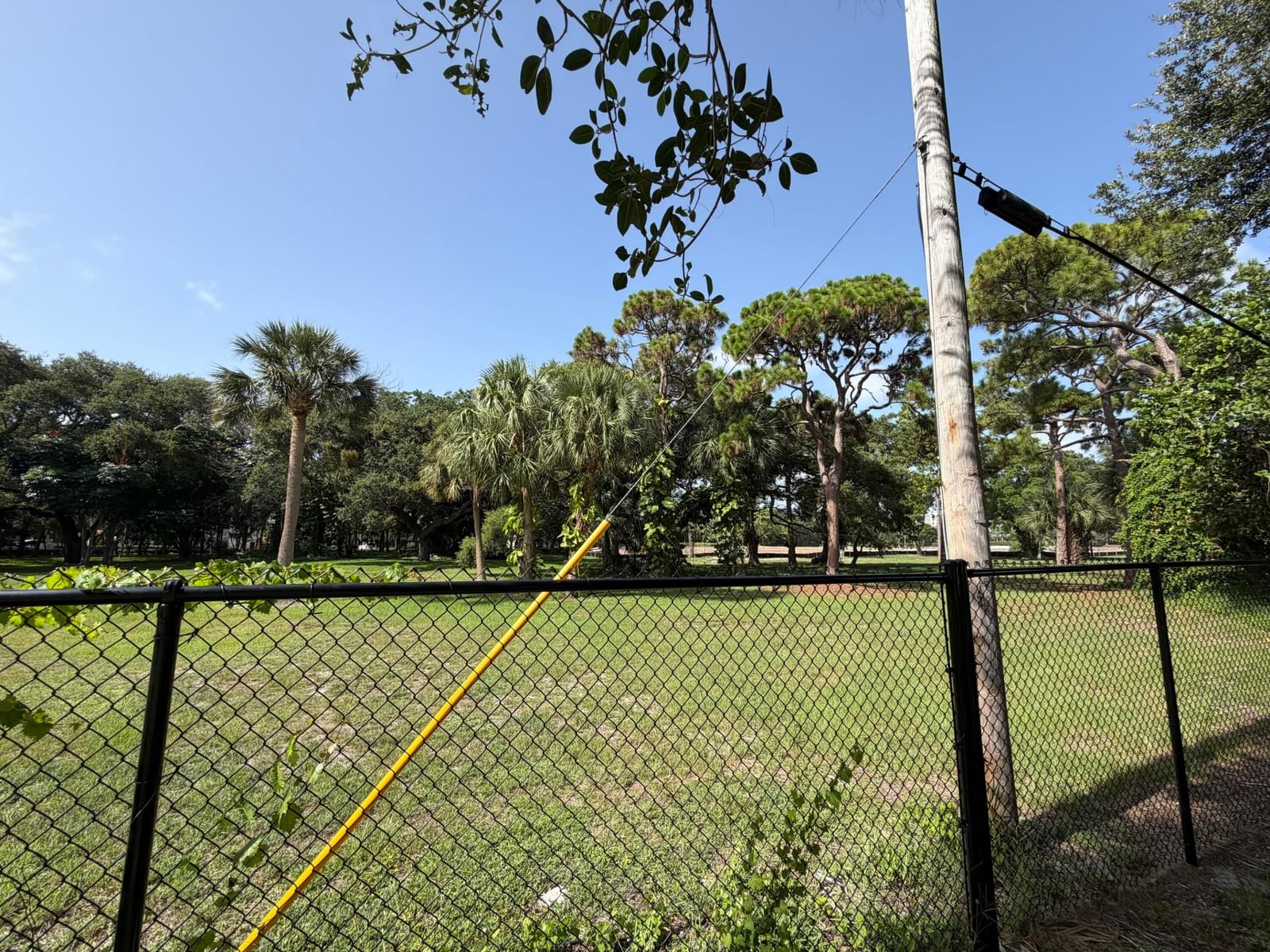 450-468 E Royal Palm Road, Boca Raton, FL photo 3