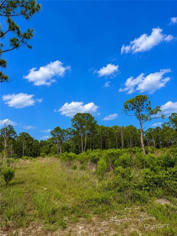 2320 82ND Avenue SW, Vero Beach, FL 32968 photo 4