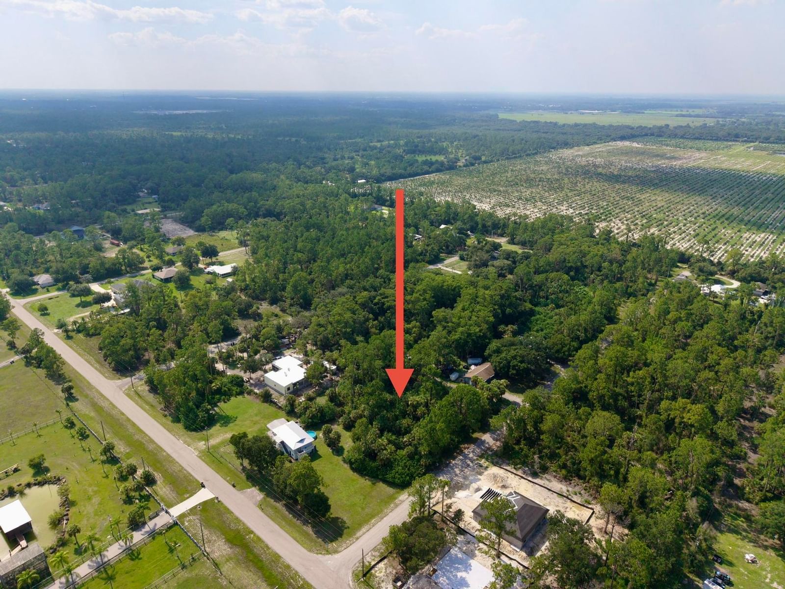 2303 Monroe Avenue, Alva, FL 33920 photo 5