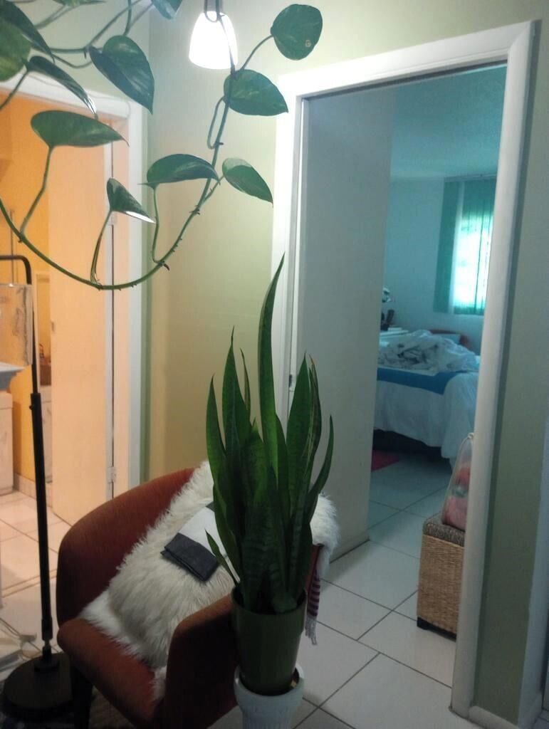 1250 E SAMPLE Road #307, Pompano Beach, FL 33064 photo 2