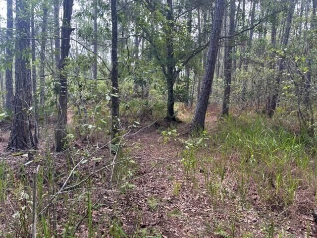 0 water Road, Clermont, FL 33868 photo 3