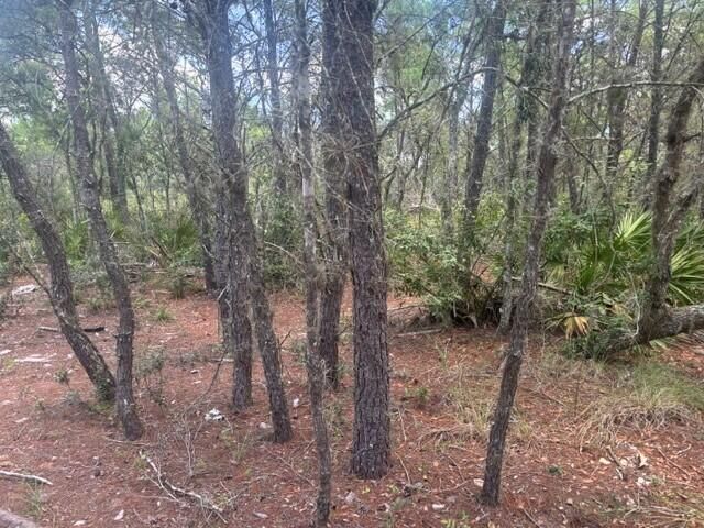 0 Us Hwy 27, Lake Wales, FL 33859 photo 3